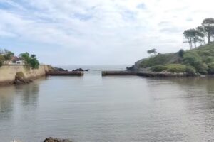 Apartamentos Perlora