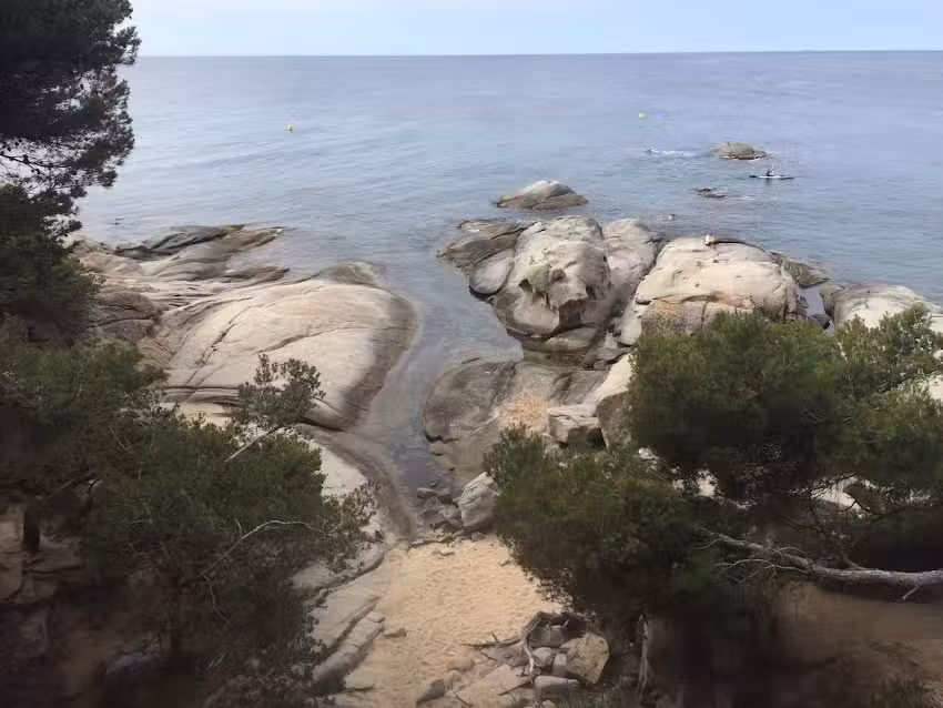 Apartamentos Roques Planes