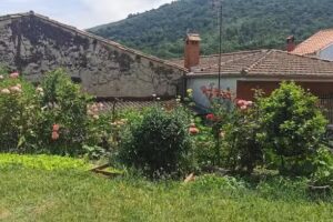 Apartamentos Rurales Casa Tenerías. La Casa del Aceite. Oleosetin