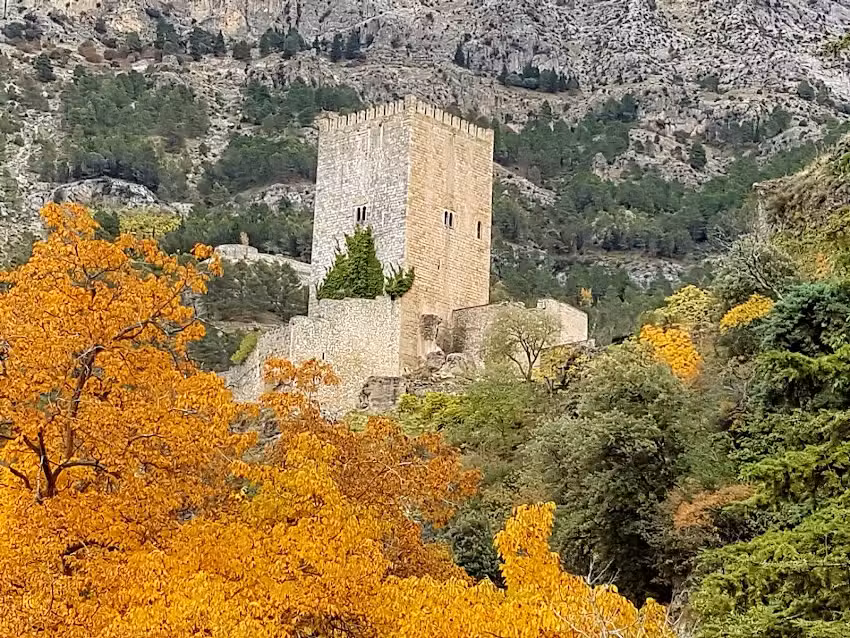 Apartamentos rurales El Alambique