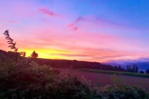 Apartamentos Rurales El Patio De Artavia