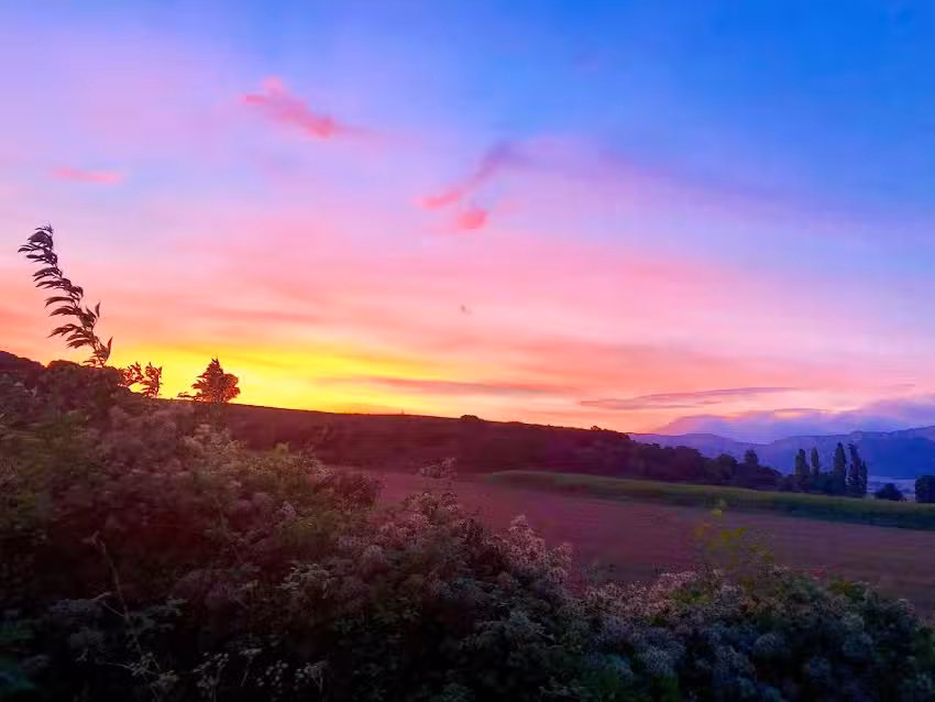 Apartamentos Rurales El Patio De Artavia