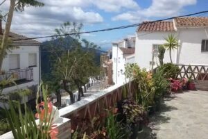 Apartamentos Rurales Jardines Del Visir