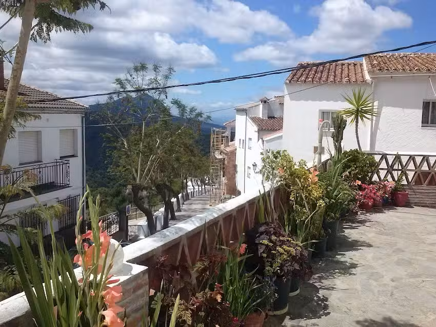 Apartamentos Rurales Jardines Del Visir