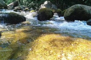 Apartamentos Rurales La Calzada