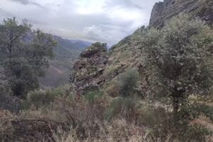 Apartamentos rurales La peña