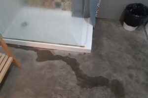 Apartamentos San Roque