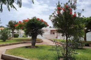 Apartamentos Santa Marta