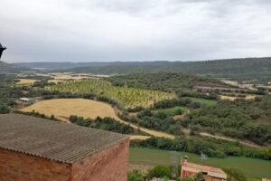 Apartaments Casa Canut