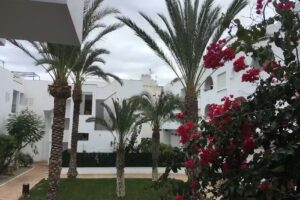 Apartment Puerto Rey