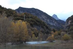 Arafita Apartamentos