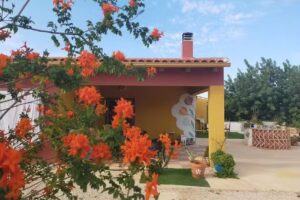 Área autocaravanas Granja La Carmela