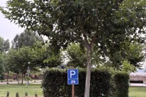 Área de Autocarabanas de Alba