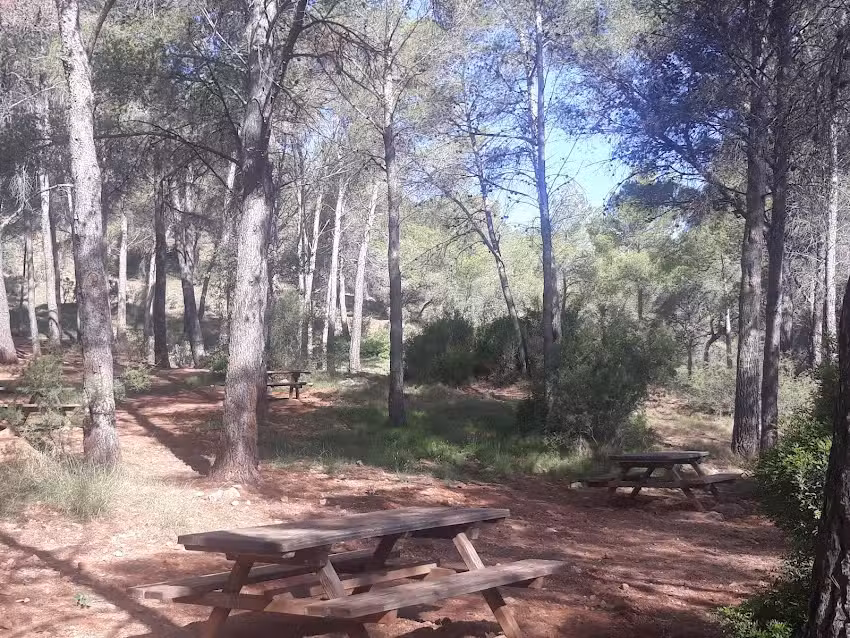 Área de esparcimiento Aliguetes