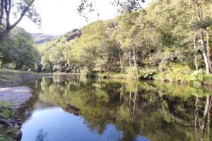 Area Descanso y baño