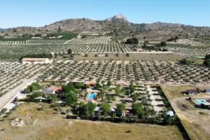 Asc. Amigos de Acampada Campo Alegre