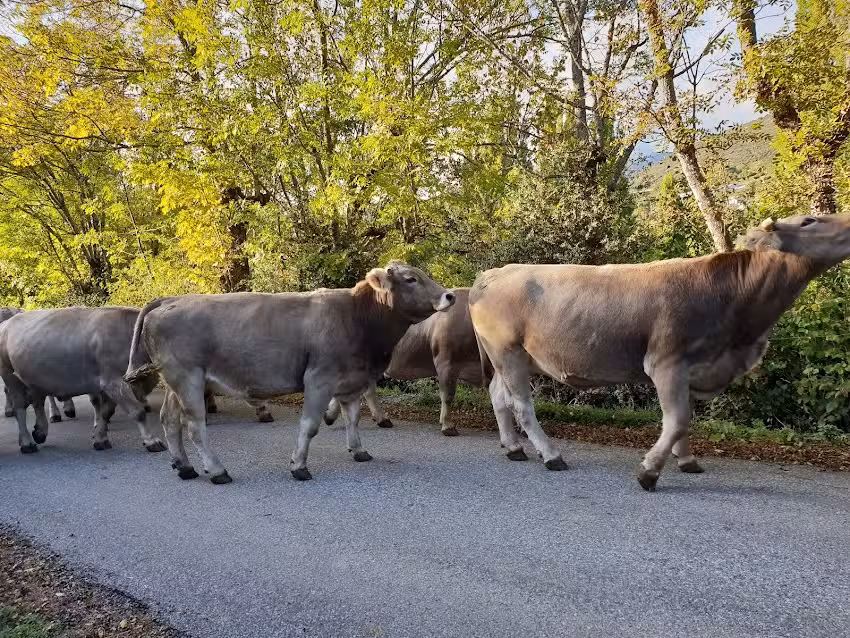 Asociación Pirenaica Para El Desarrollo Del Turismo Rural Tural
