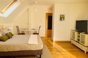 Áticos La Aliseda by gaiarooms