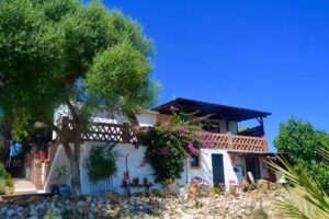 B&B Finca Alegria de La Vida