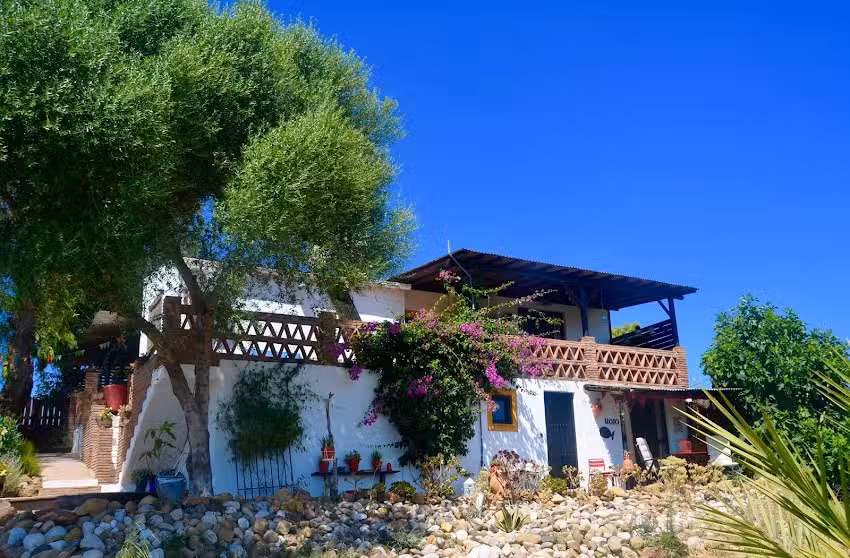 B&B Finca Alegria de La Vida