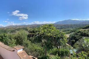 Bambú Boutique Studios