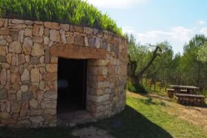 Barraca entre Vinyes