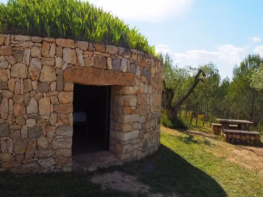 Barraca entre Vinyes