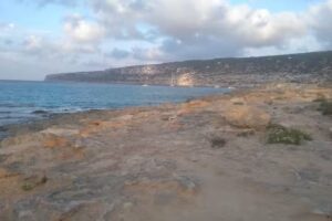 Beach Club Formentera S.L.