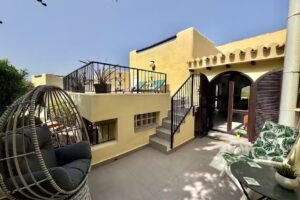 Begonia, La Colina 8