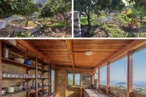 Biofinca Casa el Riego. Casa Rural.