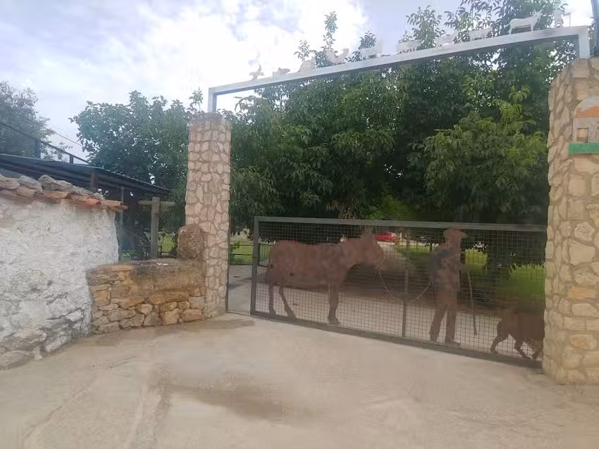 Cabañas Arguellite