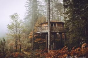 Cabañas en los árboles, Zuhaitz-etxeak