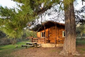 Cabañas Llano de los Conejos