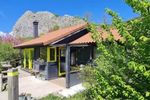 Cabañas Patagónicas