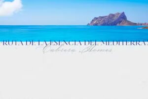 Cabrera Homes Rentals