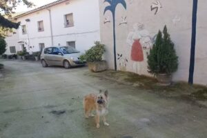 CAL PALLOL- CASA RURAL CON TV, PISCINA, BARBACOA EN CAMARASA