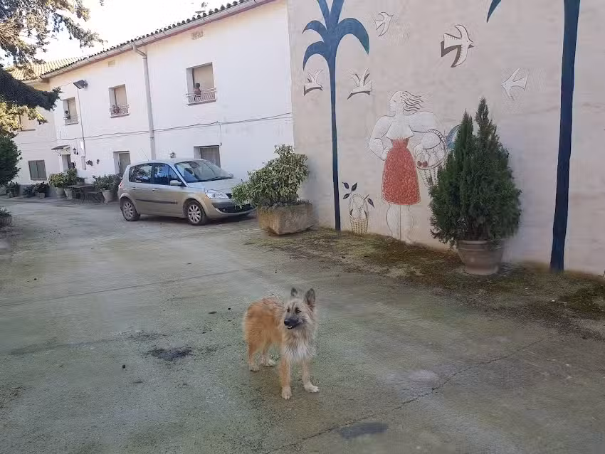 CAL PALLOL- CASA RURAL CON TV, PISCINA, BARBACOA EN CAMARASA