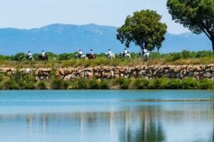Cal Robusto Turisme Eqüestre