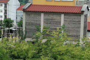 Camiño de Finisterre