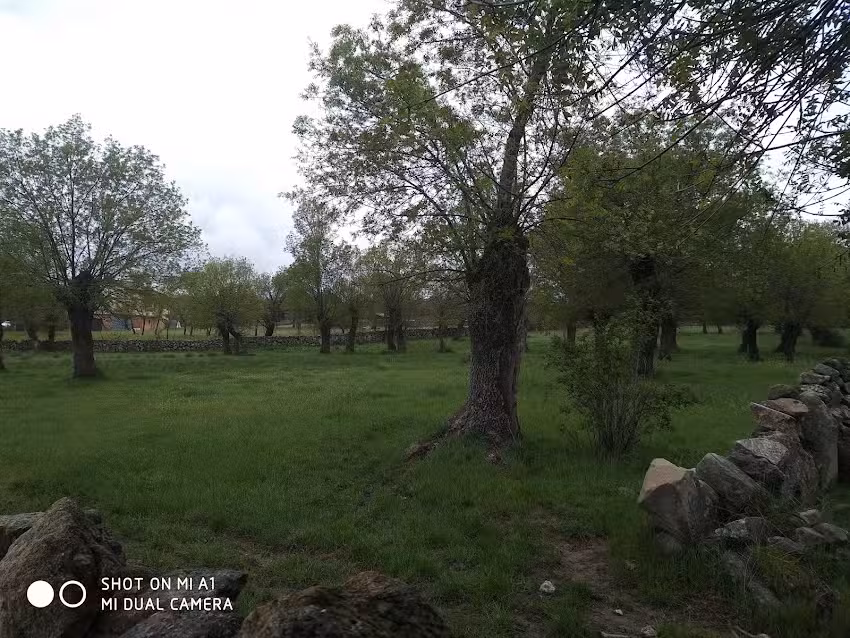 Camino de las fuentes