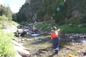 Campamentos de verano de pesca