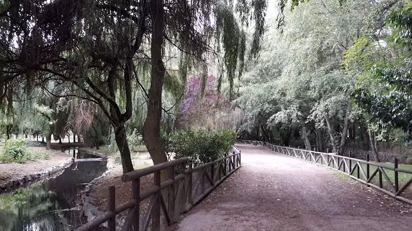 Camping «El Soto»