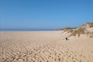 Camping Jardin de Las Dunas