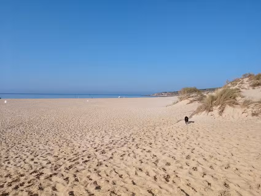 Camping Jardin de Las Dunas