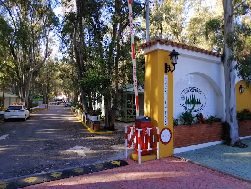 Camping los Eucaliptos