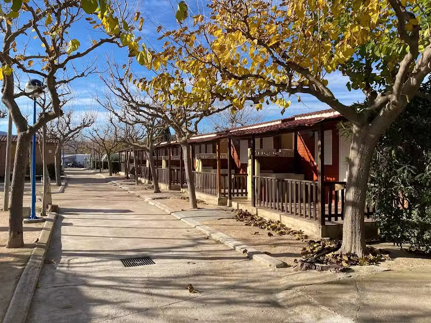 Camping Pepe · Playa de Oliva