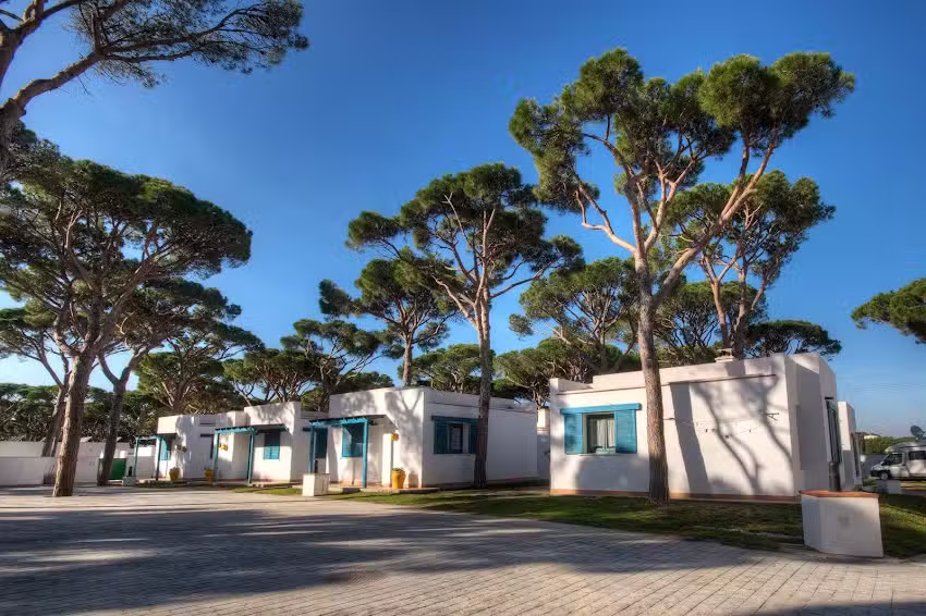 Camping Pinar San José