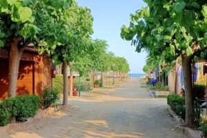 Camping Playa y Fiesta