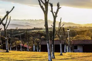 Camping rodero oyambre