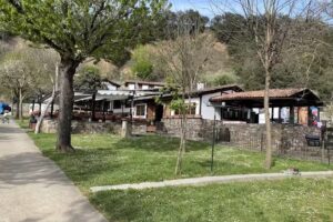 Camping San Pelayo